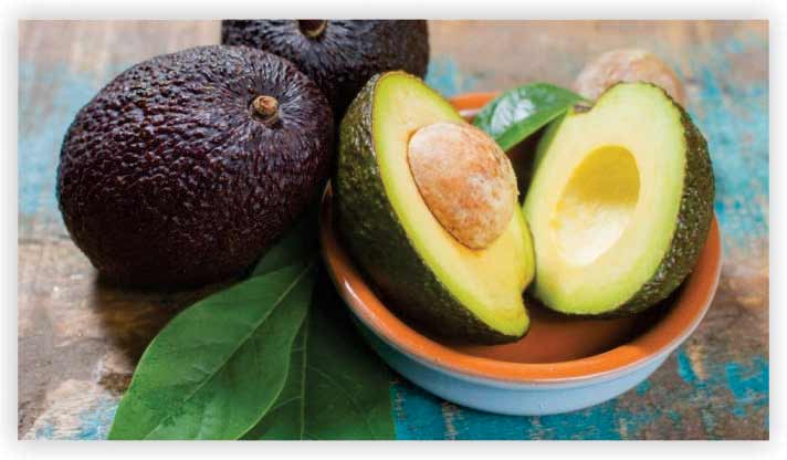 Avocado
