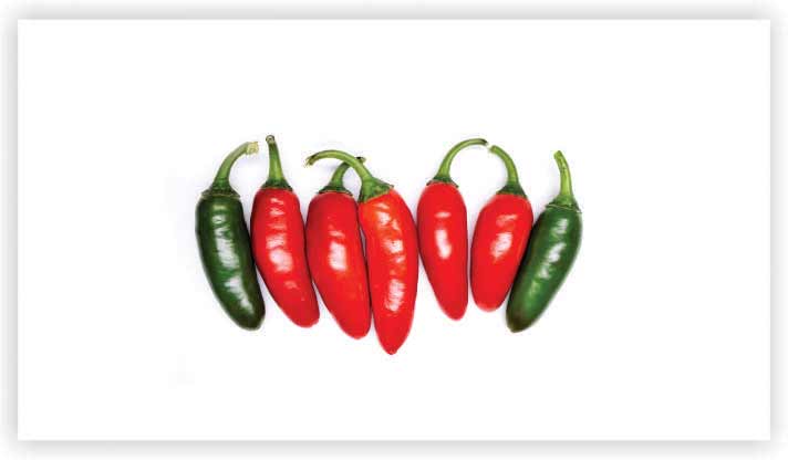 Jalapeño