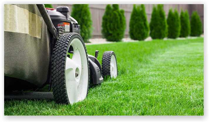 lawn car business