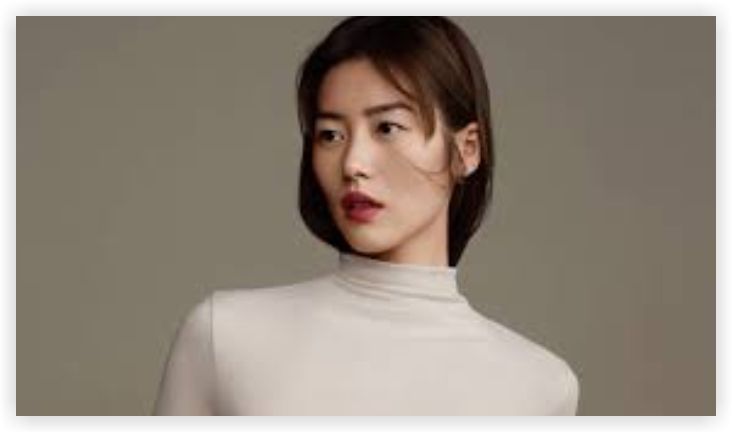 Liu Wen