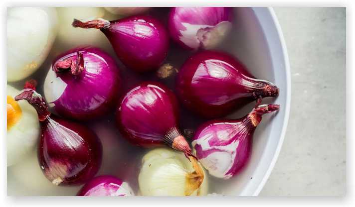 Onion