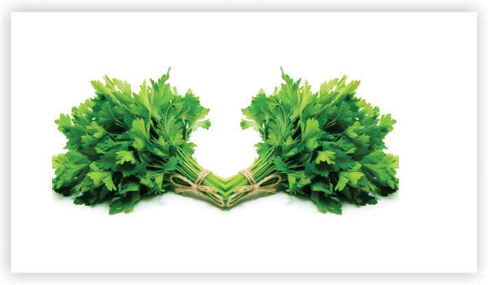 Parsley