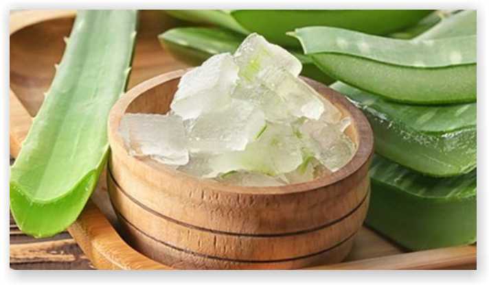 Pure Aloe Vera gel
