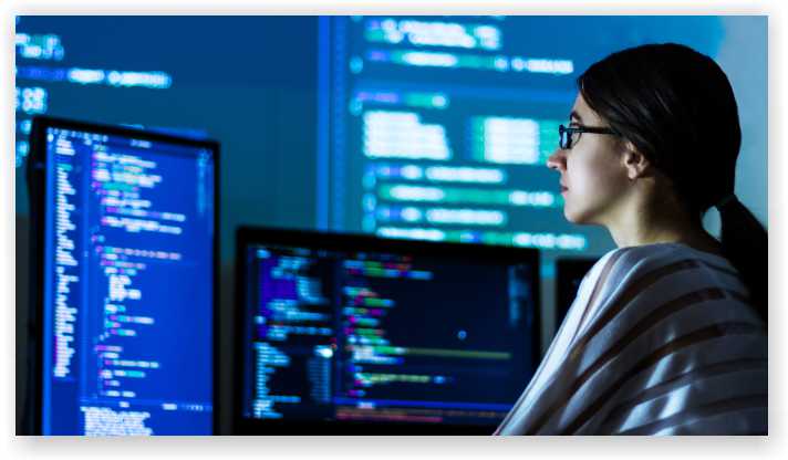 Software Engineers