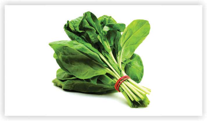 Spinach