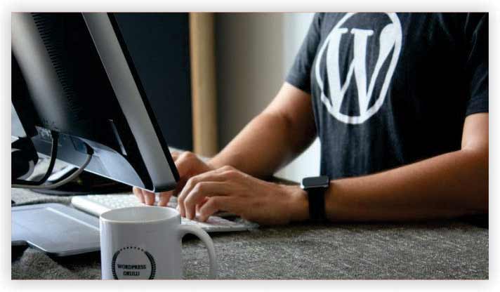 WordPress Developer